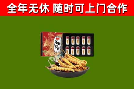 玉溪市烟酒回收冬虫夏草礼盒.jpg
